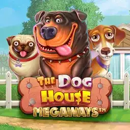 The Dog House Megaways gra w Wazbee Casino dla graczy z Polski The Dog House Megaways gra w Wazbee Casino dla graczy z Polski