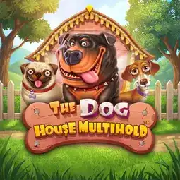 The Dog House Multihold gra w Wazbee Casino dla graczy z Polski The Dog House Multihold gra w Wazbee Casino dla graczy z Polski